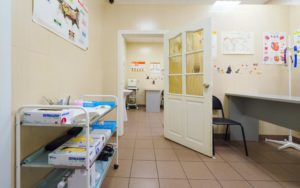 7 лучших ветеринарных клиник Воронежа