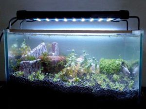 7 лучших ламп для аквариума