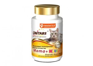 9 лучших витаминов для кошек