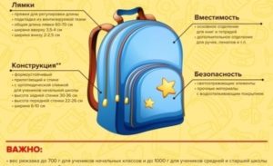 Как выбрать школьный рюкзак