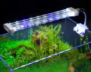 7 лучших ламп для аквариума