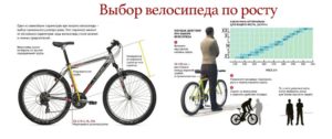 Как выбрать велосипед по росту для мужчины, женщины и ребенка – мнения экспертов