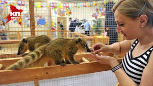 11 лучших контактных зоопарков Москвы