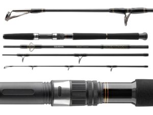 Рейтинг лучших спиннингов Daiwa